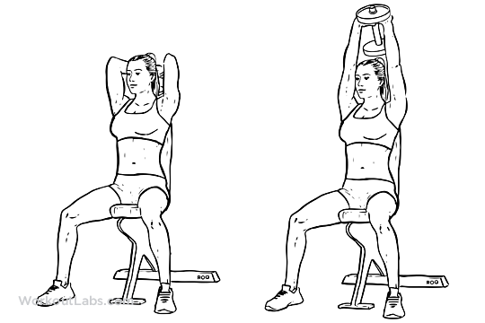 seated tricep press