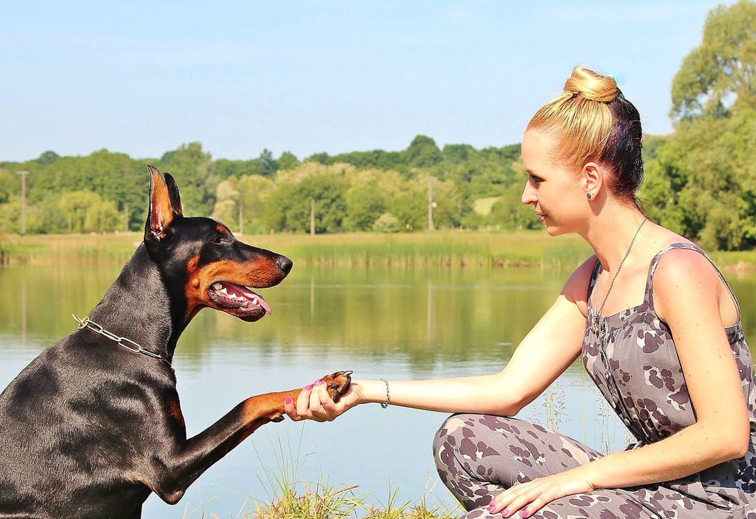 3 Key Benefits of Exercising with a Dog