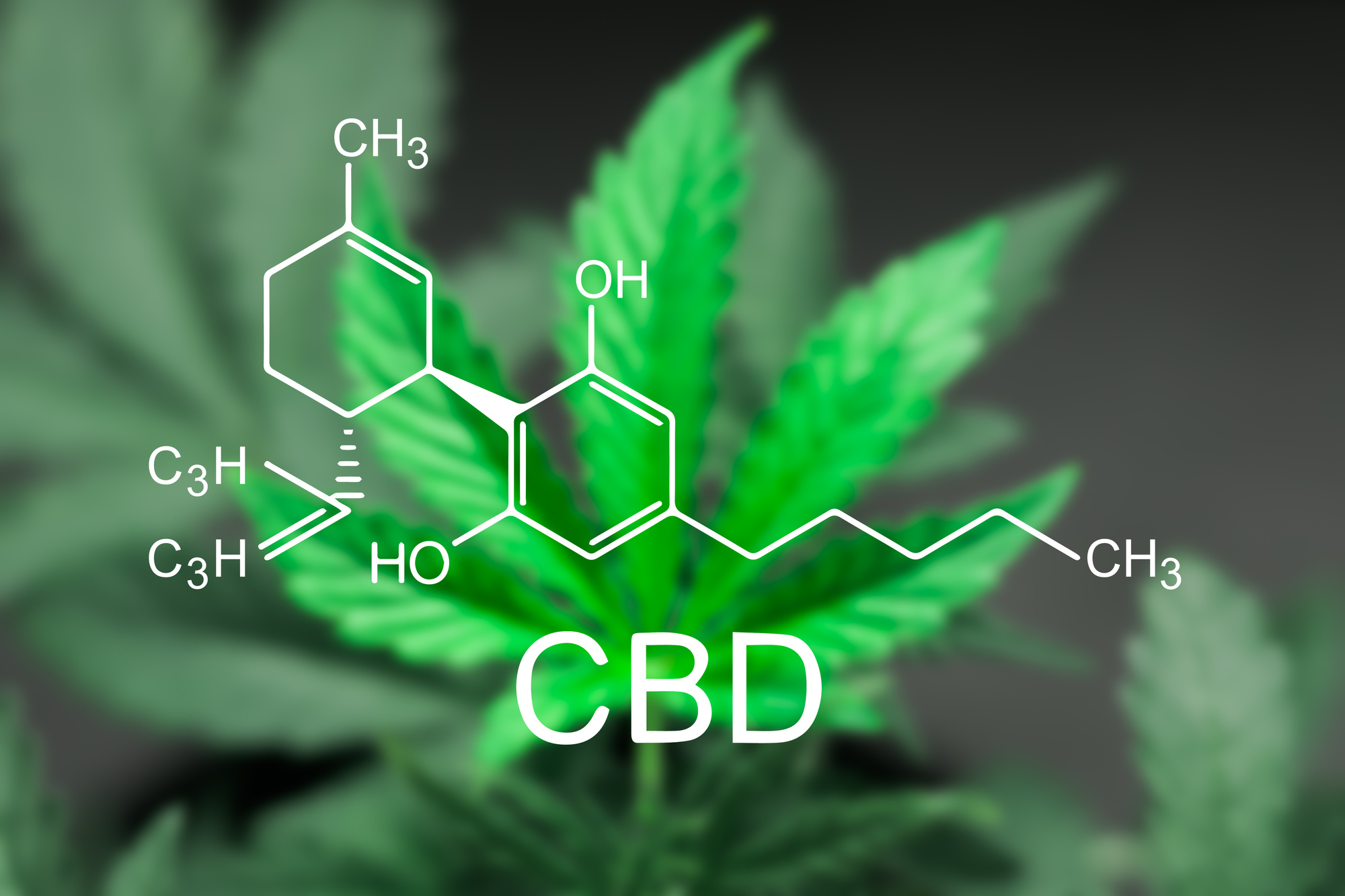 Working Out with CBD: CBD Muscle Recovery