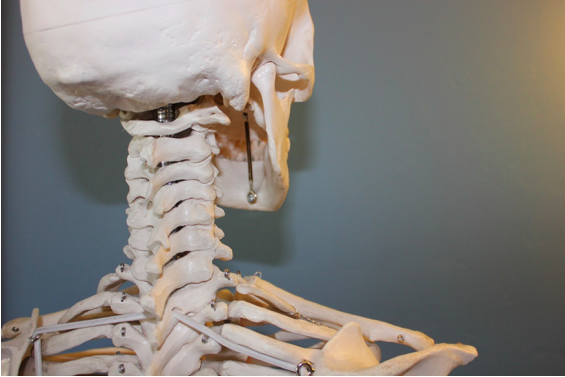 Finding Treatments at a Townsville Chiropractic Centre
