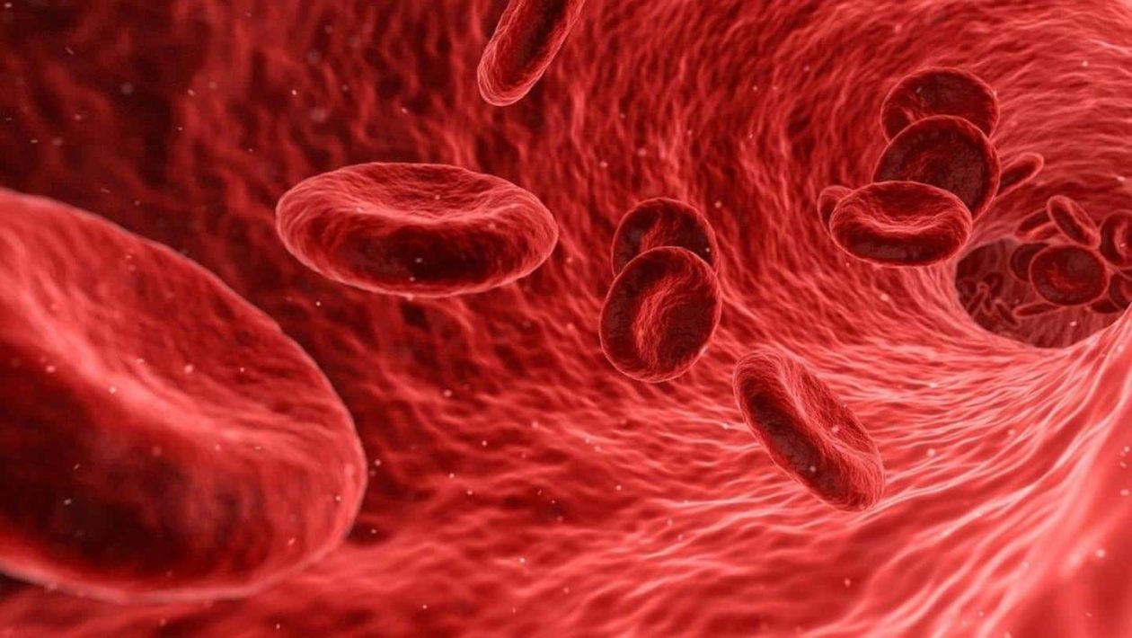 how to increase hemoglobin in a week