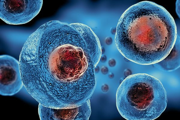 diseases treated by stem cells