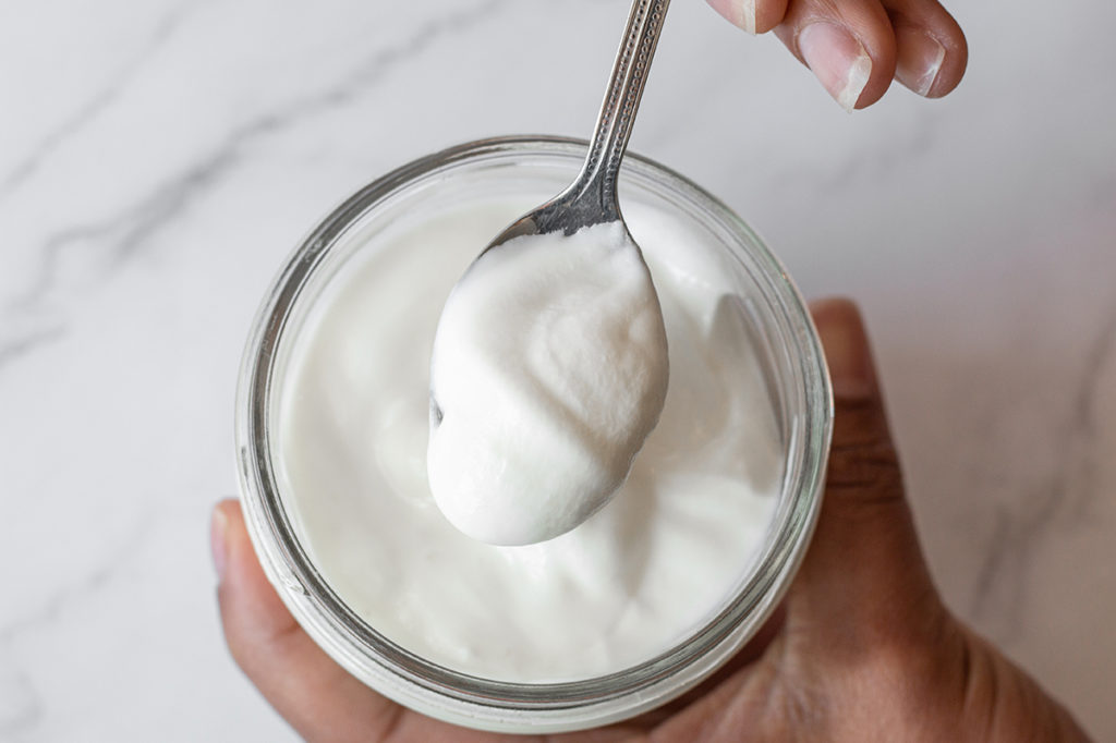 yogurt as probiotic food benefit