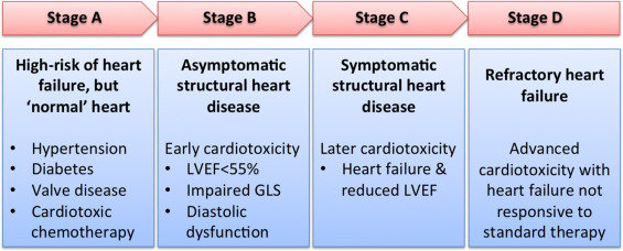 stages of chf